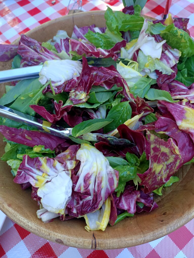 bitter greens and radicchio salad in a bowl on a red check tablecloth
