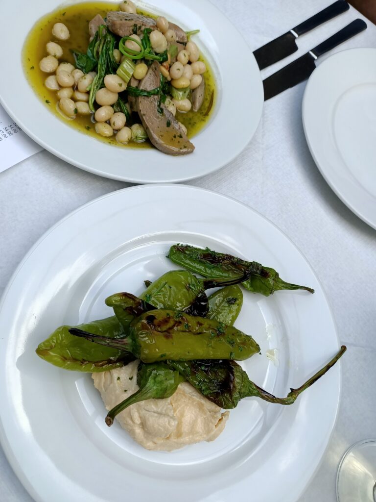photo of two white plates one with beans and meat and the other with charred green peppers