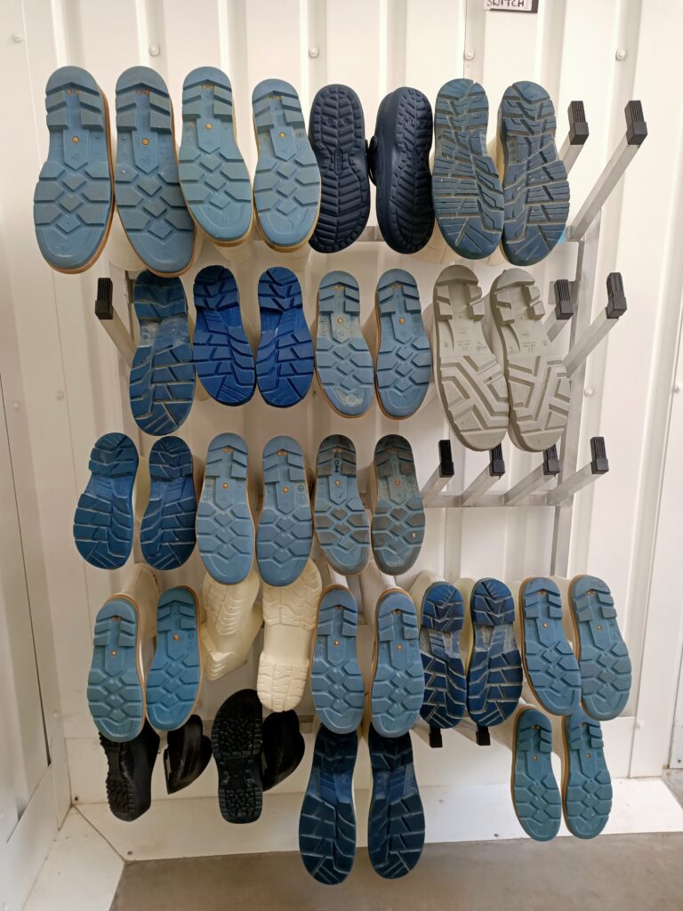 photo of rows of upturned gumboots