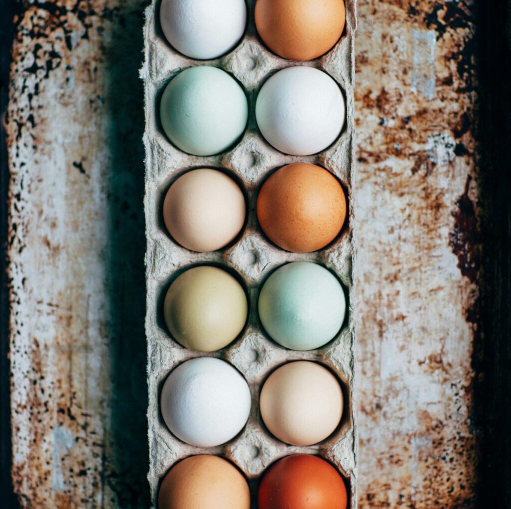 photo of different colored eggs ona rusted metal background