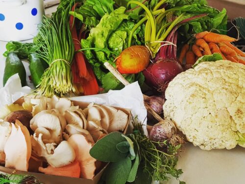 The Quiet Power of Reducing Food Waste at Home