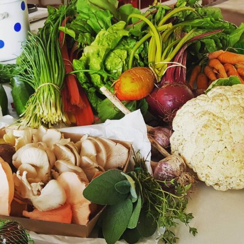 The Quiet Power of Reducing Food Waste at Home