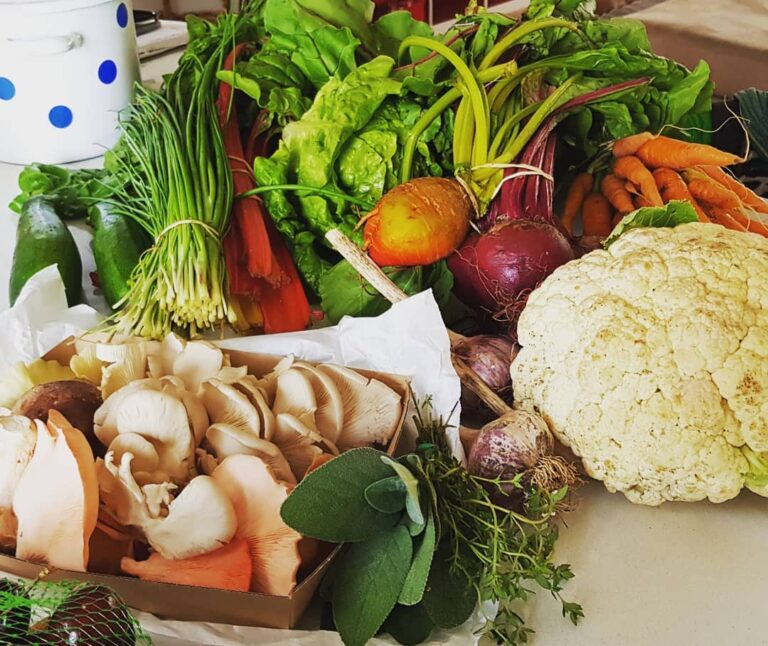 The Quiet Power of Reducing Food Waste at Home