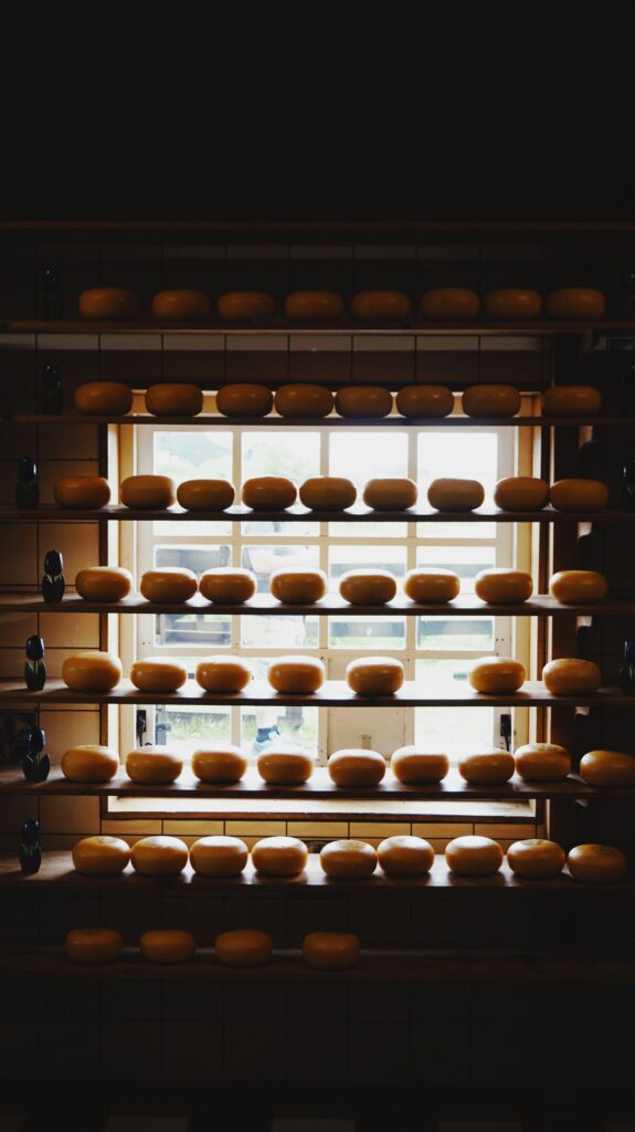 photo of shelving in front of a window with dozens of wheels of cheese