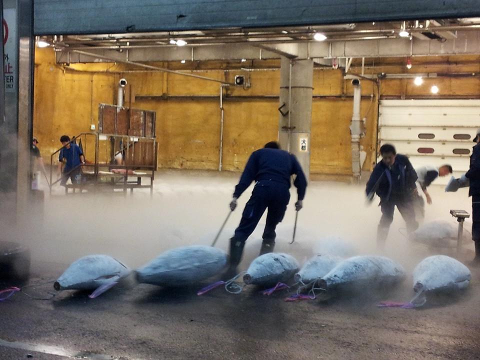 photo of early morning at a fish market