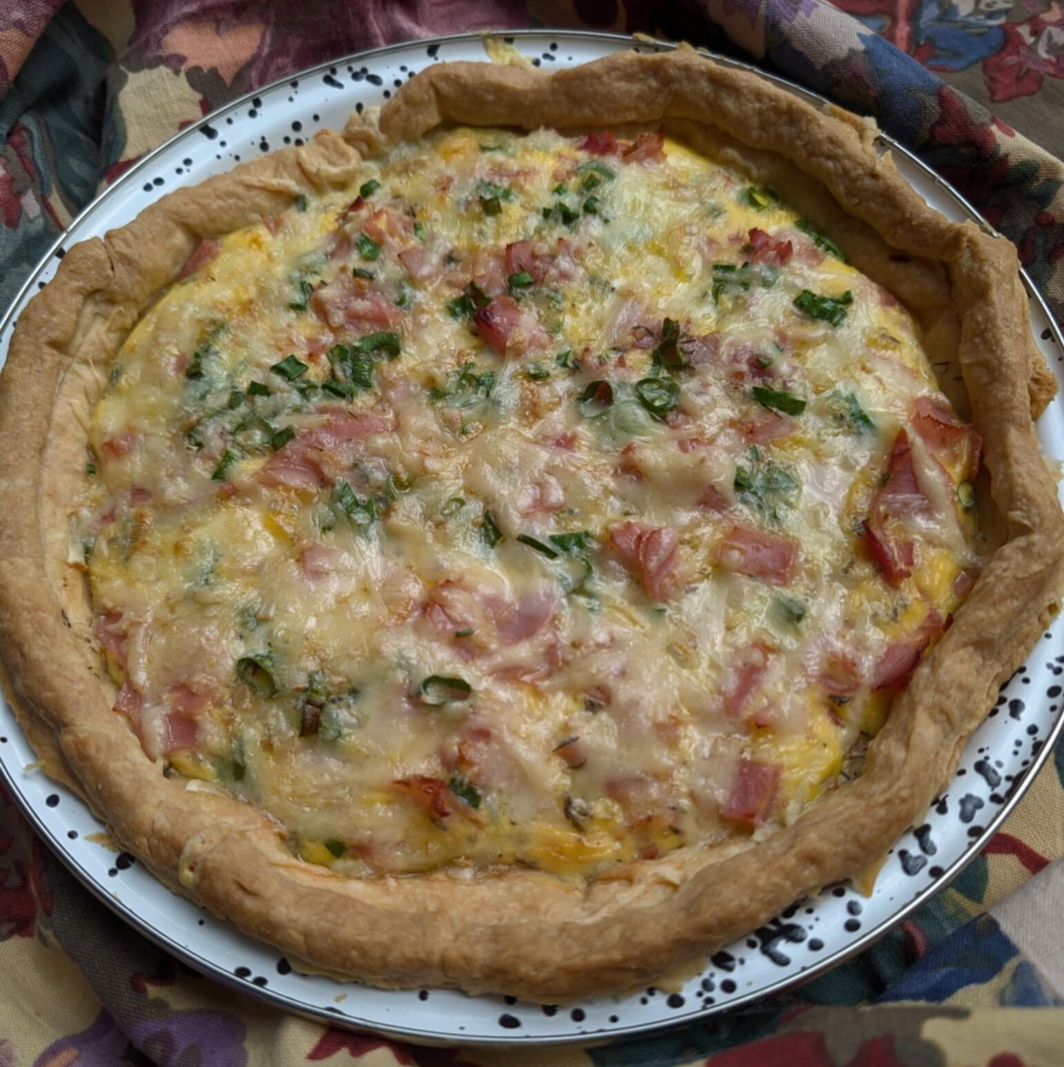 photo of a savoury tart or pie with bits of ham meat and cheese