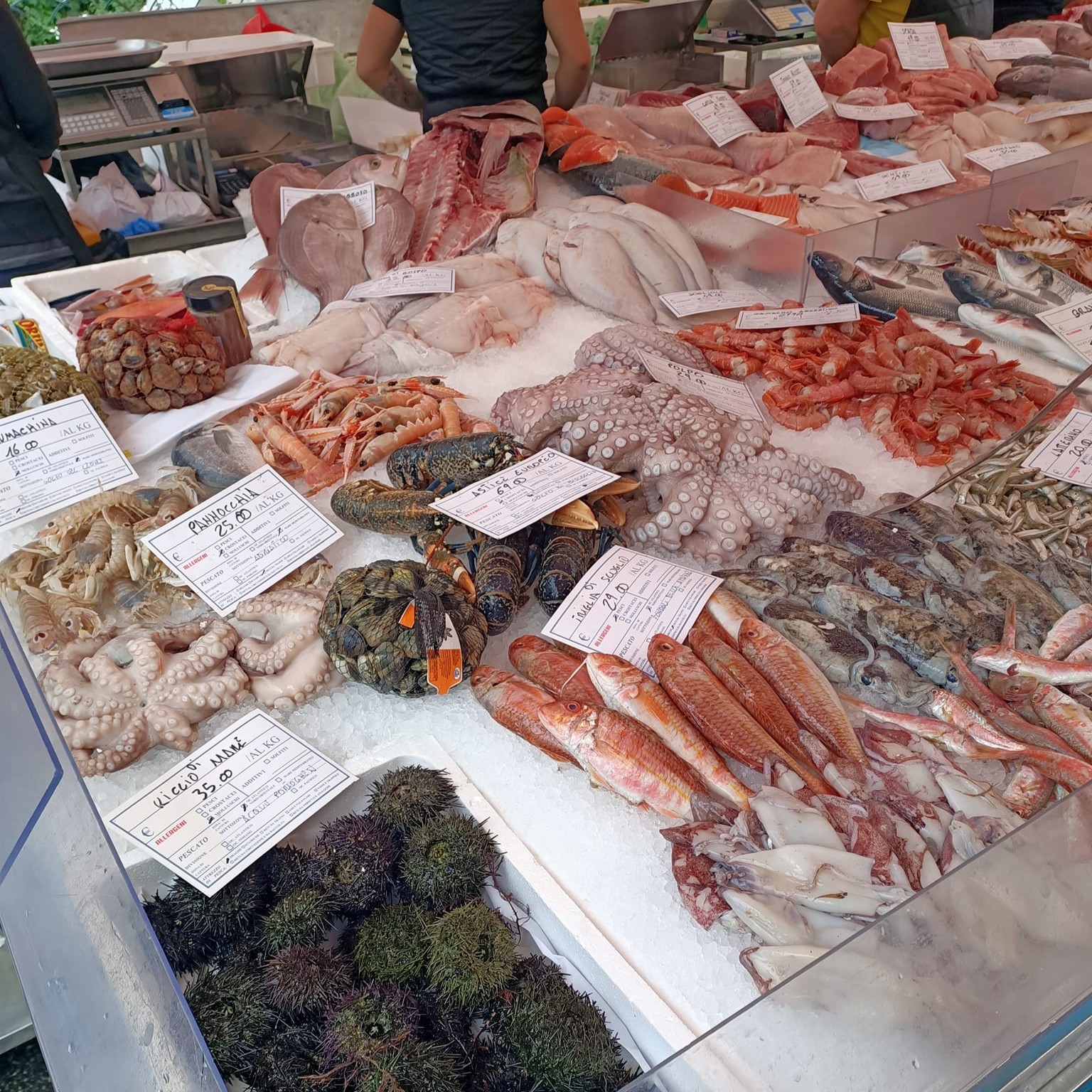 photo of a range of fresh seafood at a market