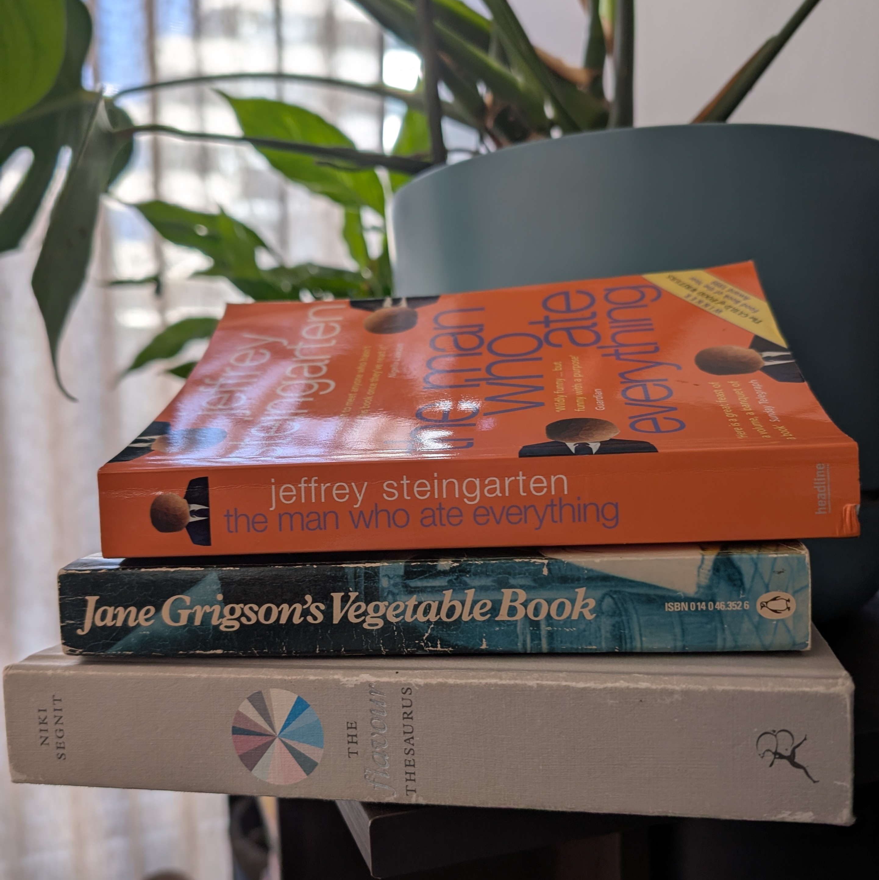 photo of three books stacked on their side in front of a pot plant