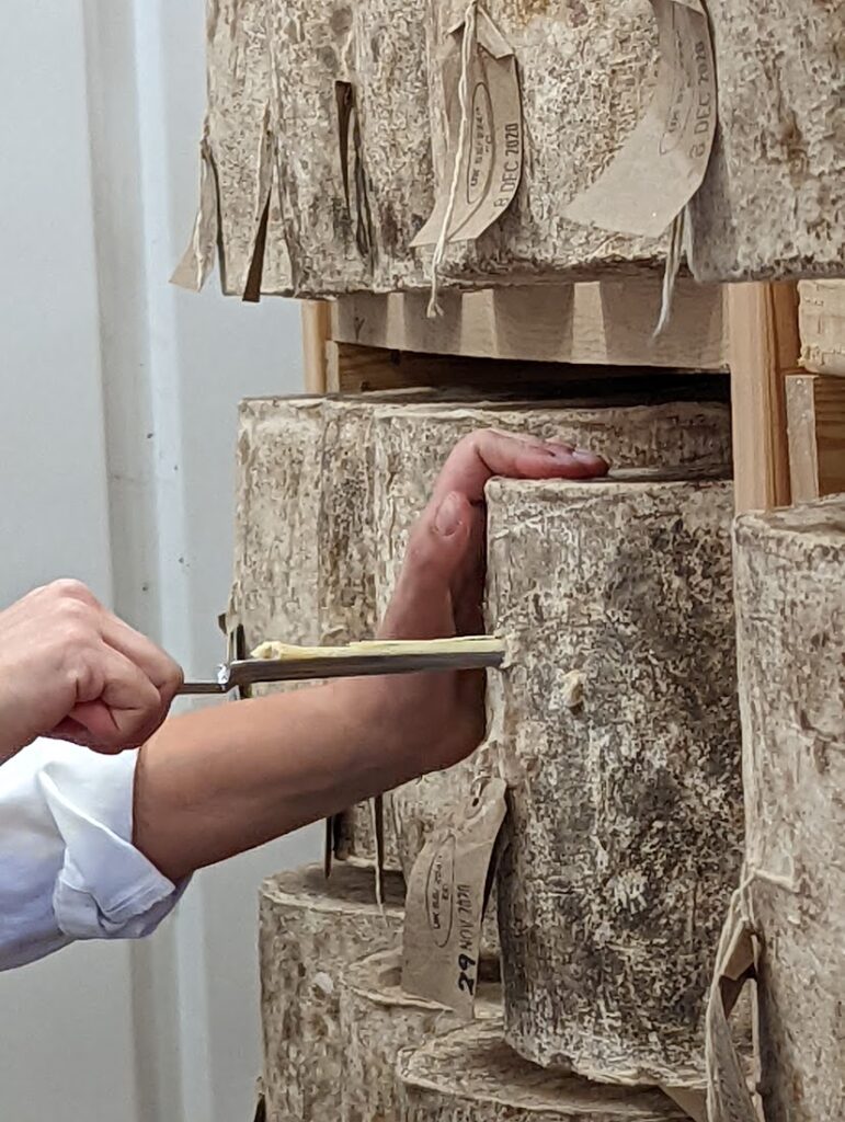 up close photo of someone removing a cheese iron to taste cheddar